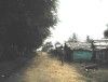 Batey San Ramon, Santo Domingo