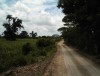 Campo, Republica Dominicana