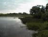 Laguna de San Ramon, Santo Domingo