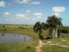 Laguna de San Jose, Republica Dominicana