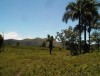 Monte de Bayaguana, Santo Domingo